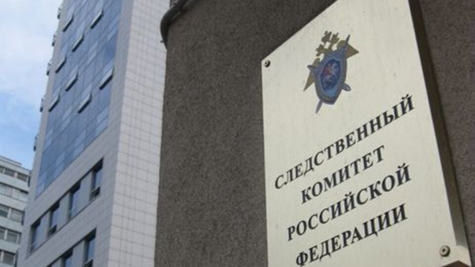 В СК РФ отметили, что якобы под руководством Рицко группа подростков в составе семи человек организовала восемь взрывов в городе Ясиноватая