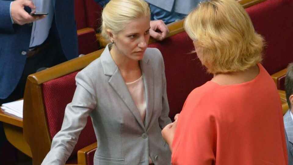 Светлана Залищук: В своей декларации за 2013 год я отметила все имущество, которое мне принадлежало на момент публикации документа в 2014-м