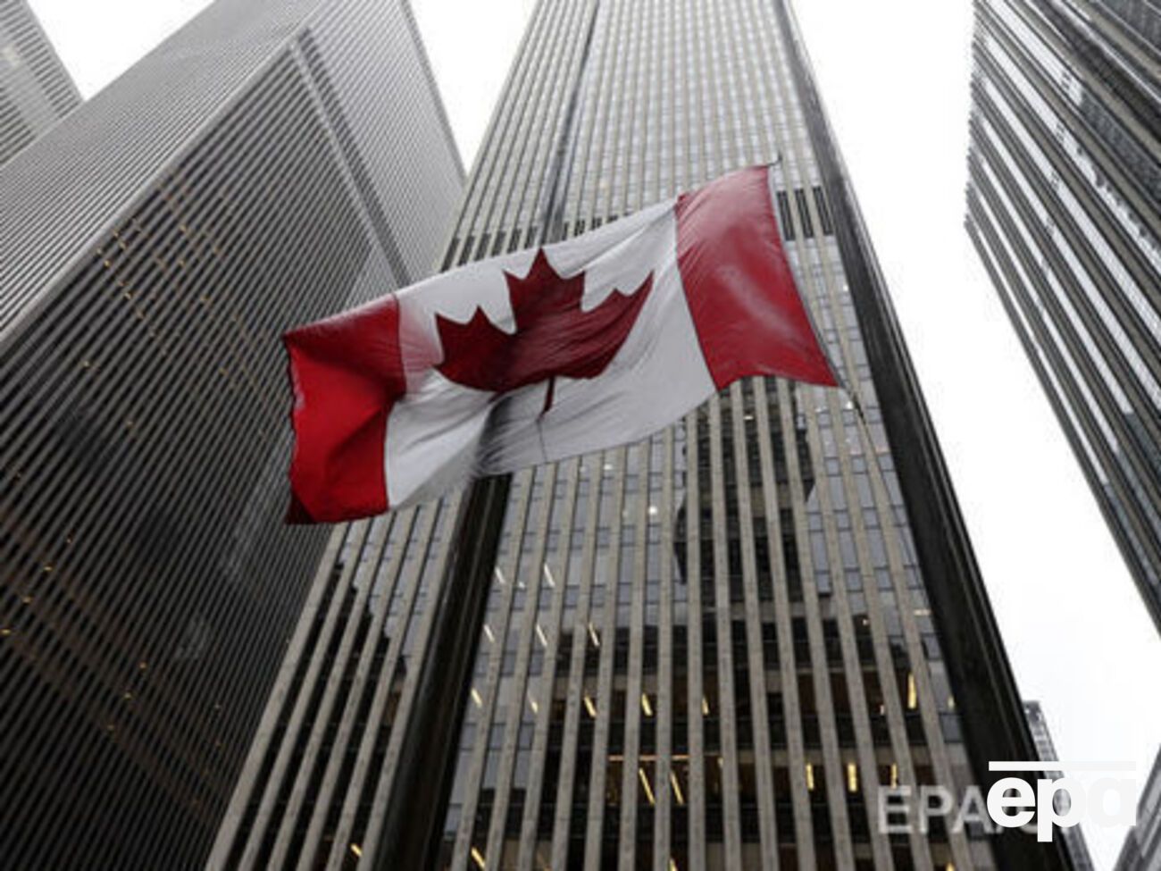 Канадские наблюдатели за парламентскими выборами в России не поедут в оккупированный Крым