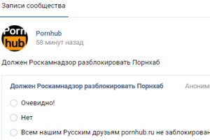 Во "ВКонтакте" появился аккаунт Pornhub