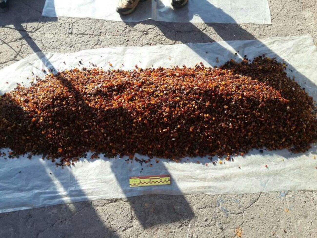 В Ракитном правохранители изъяли партию янтаря-сырца общим весом около 180 кг