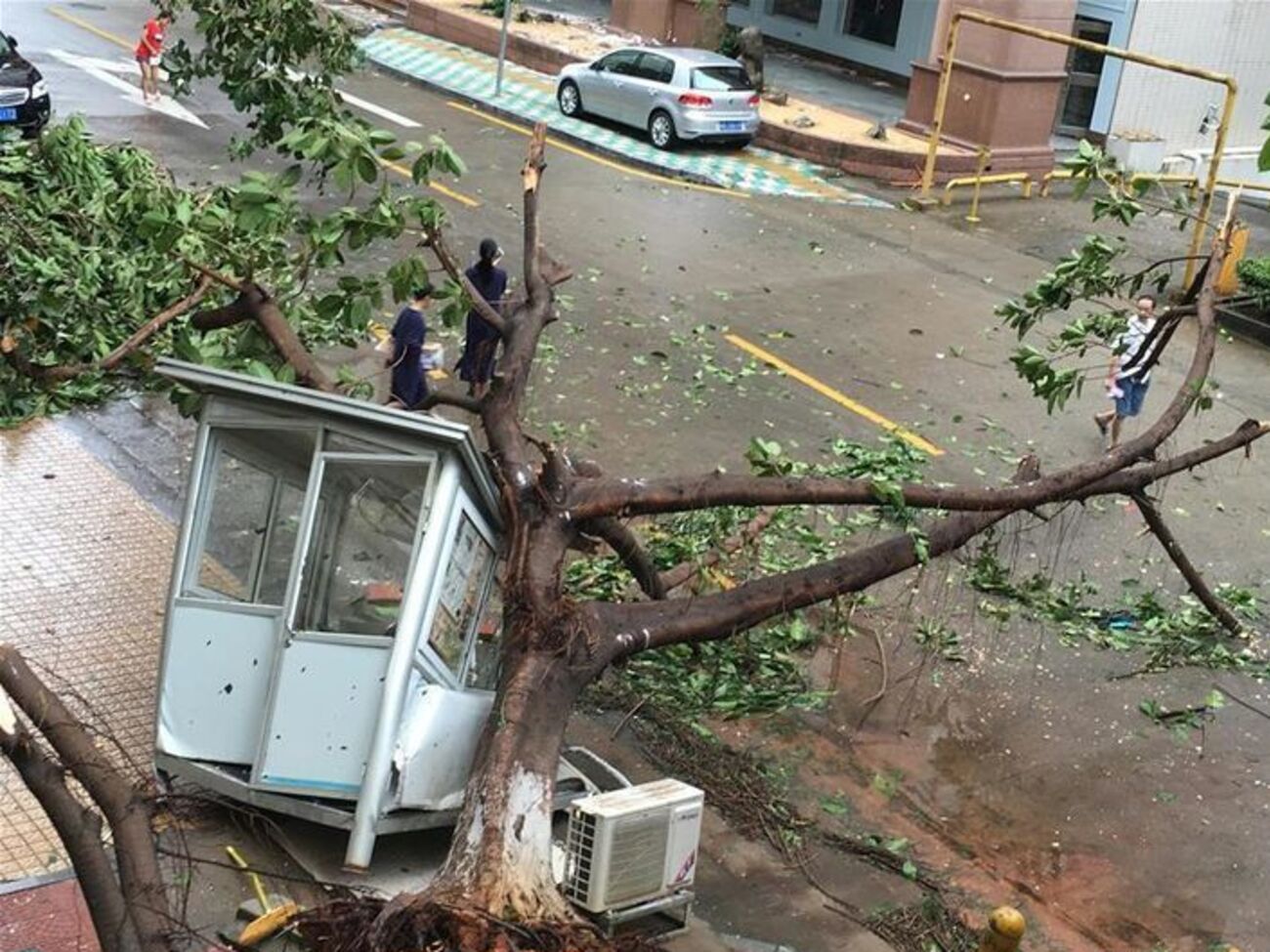 Тайфун "Меранти" унес 15 жизней