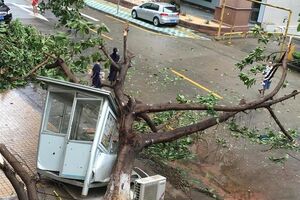 Тайфун "Меранти" унес 15 жизней