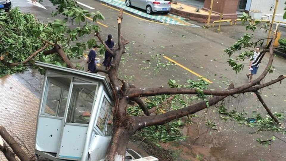 Тайфун "Меранти" унес 15 жизней