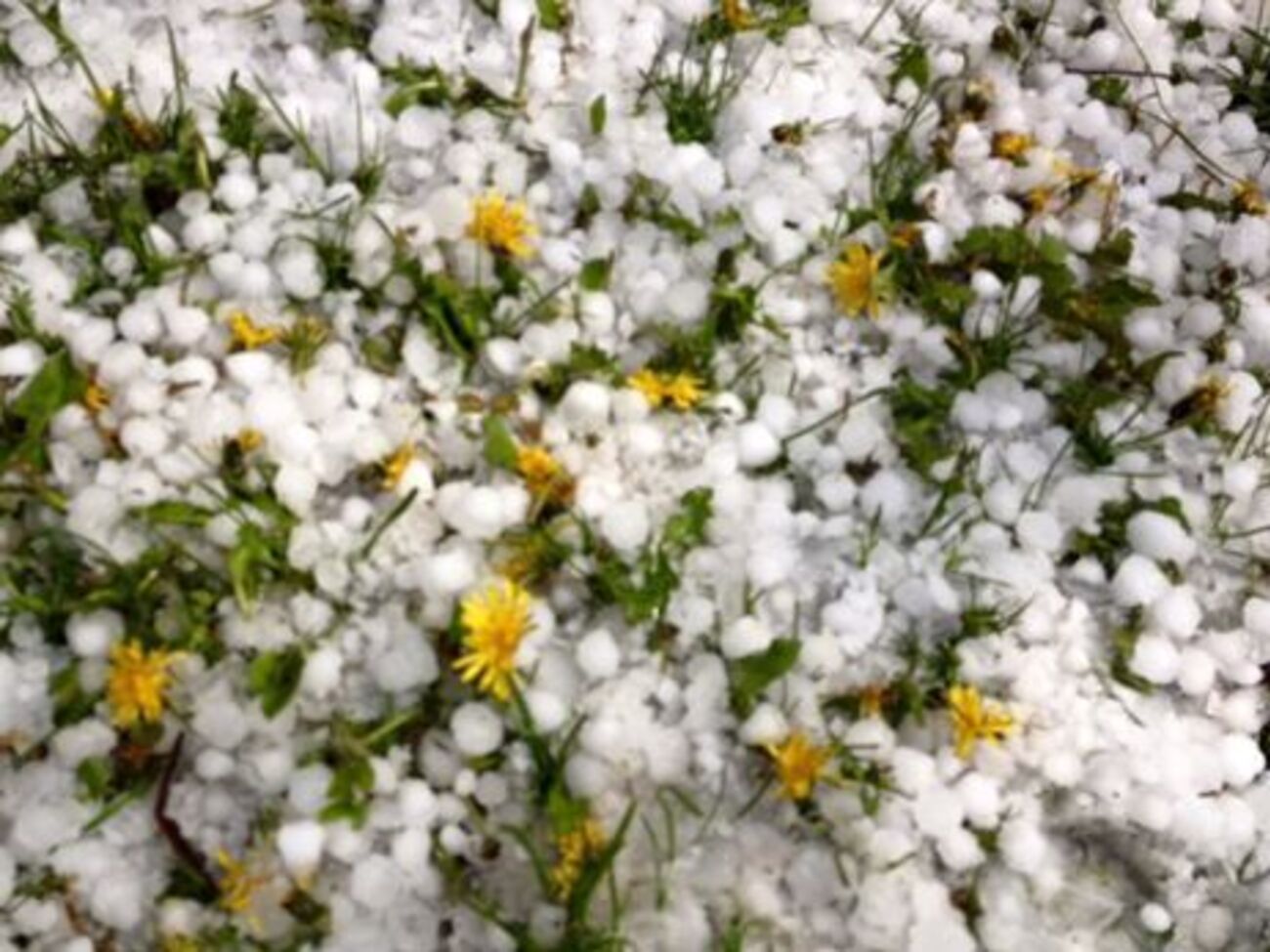 В отдельных регионах страны в ближайшие ночи похолодает