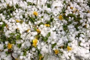 В отдельных регионах страны в ближайшие ночи похолодает