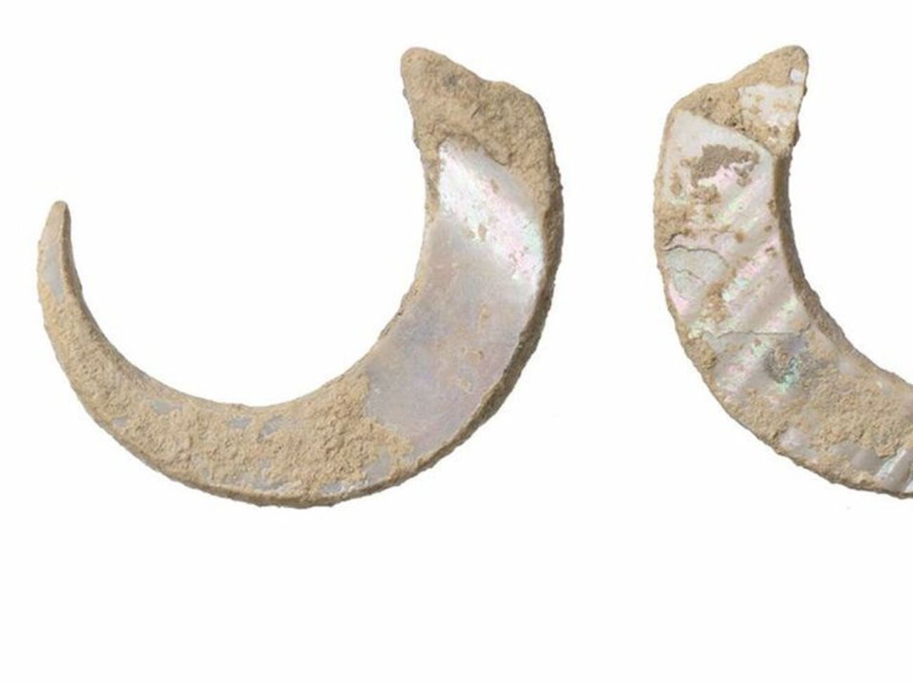 Пока это старейшая находка такого рода