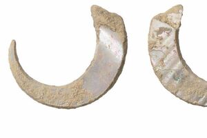 Пока это старейшая находка такого рода