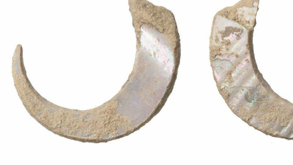 Пока это старейшая находка такого рода