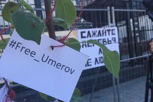 Активисты посадили символическое дерево, на которое повесили таблички с именами людей