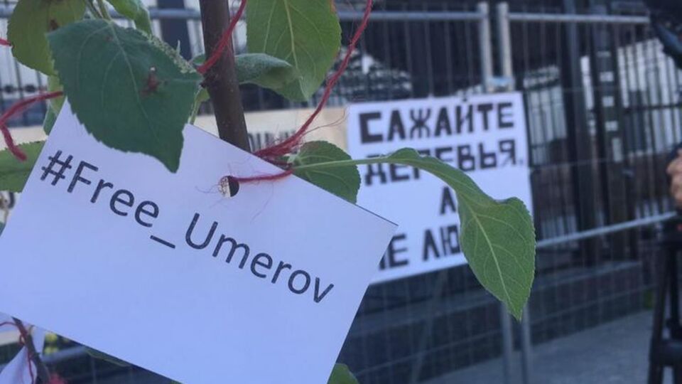 Активисты посадили символическое дерево, на которое повесили таблички с именами людей