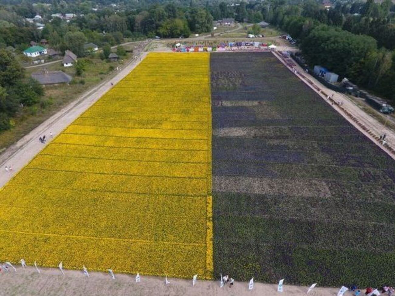 В Киеве создали рекордный цветочный флаг Украины