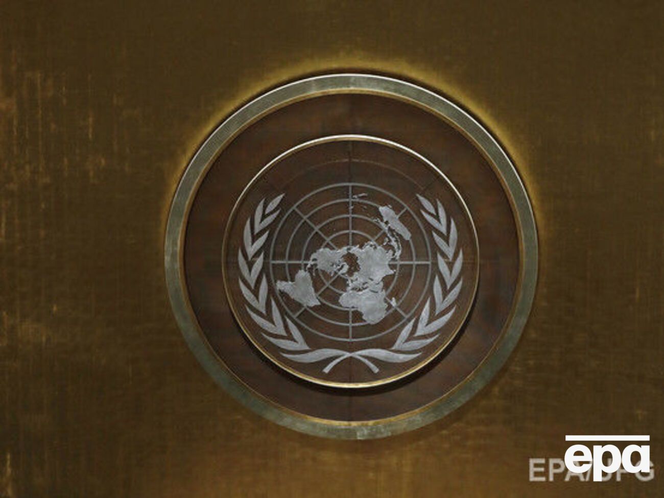 Страны ООН обязались бороться с супербактериями