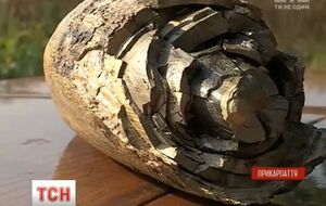 Бивень передадут музею