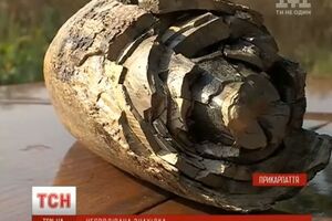 Бивень передадут музею