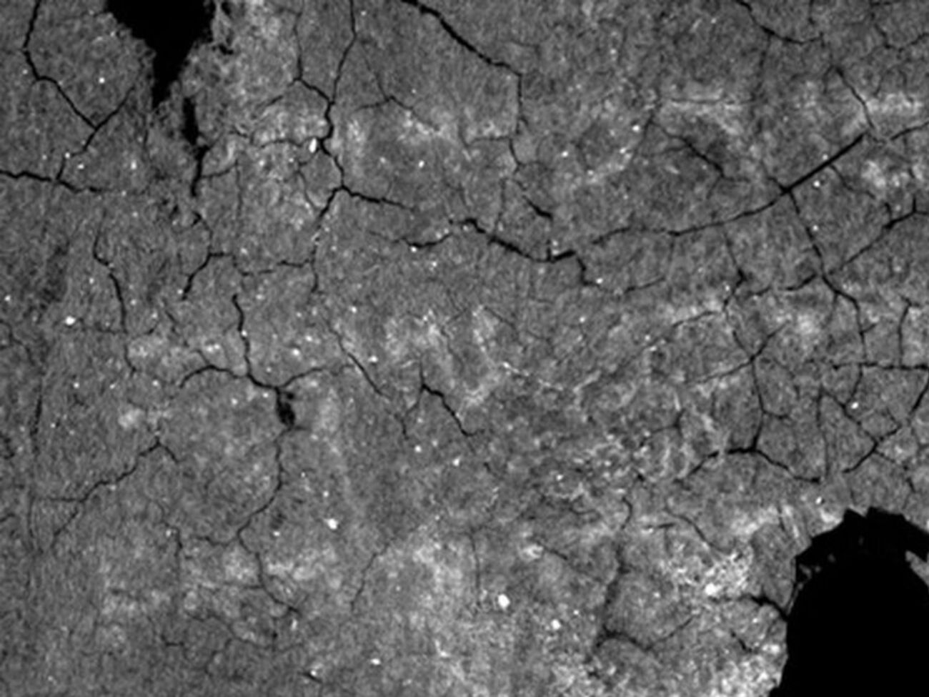 Манускрипт датируется III-IV веком н.э.