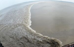 "Лучший прилив Поднебесной" на востоке Китая