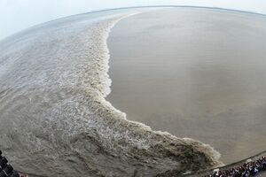 "Лучший прилив Поднебесной" на востоке Китая