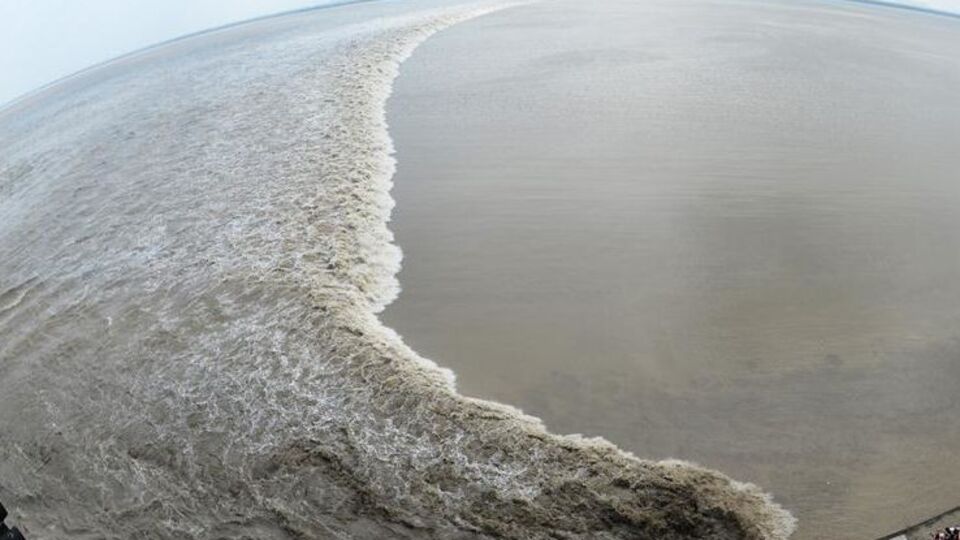 "Лучший прилив Поднебесной" на востоке Китая