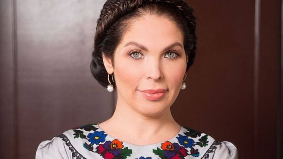 Новый проект Литовченко будет продолжаться до мая 2017 года