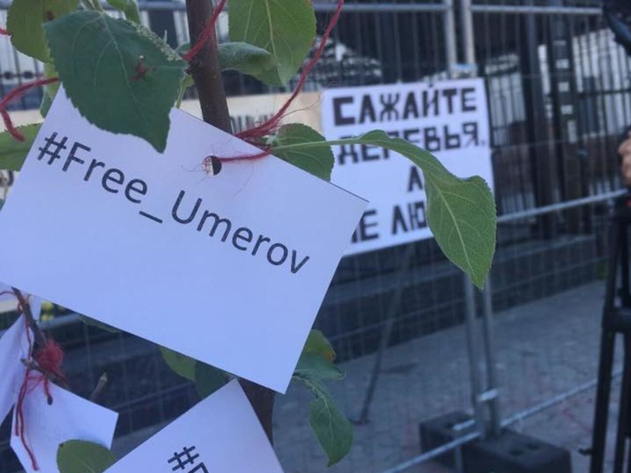 Активисты "КрымSOS" такую акцию провели под посольством РФ в Киеве 2 сентября