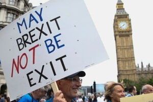 Британцы снова вышли на митинг