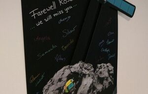 Rosetta разобьют о комету