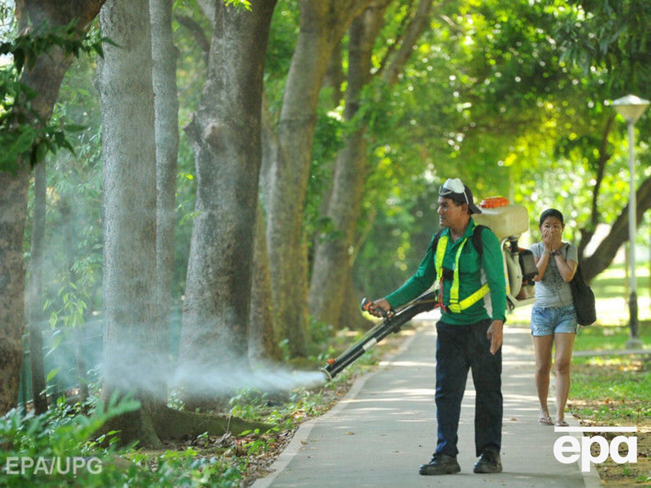 В Сингапуре обеспокоены ростом числа заболевших лихорадкой Зика