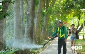 В Сингапуре обеспокоены ростом числа заболевших лихорадкой Зика