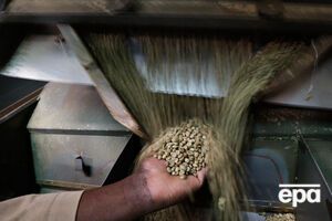 Исчезновение кофе будет иметь огромное влияние на 120 миллионов человек во всем мире