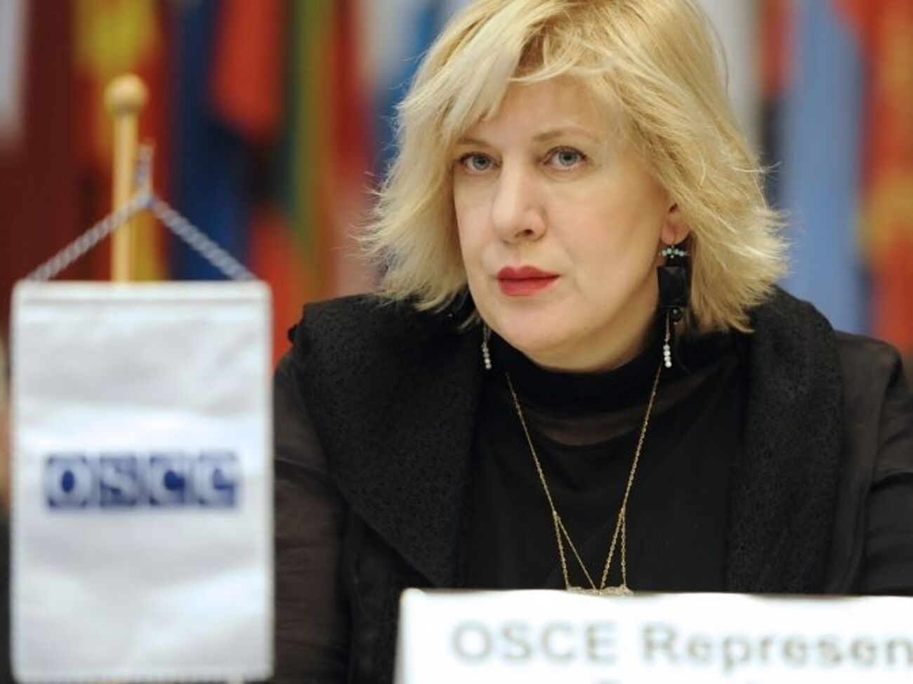 Миятович: Журналистам нужно обеспечить безопасную рабочую среду