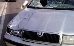 Местный житель утверждает, что за рулем автомобиля был российский военный