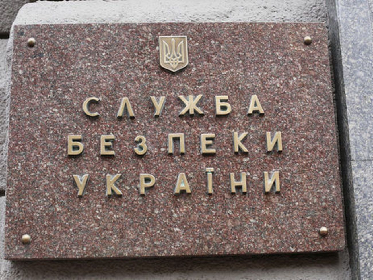 СБУ совместно с полицией задержала информатора боевиков и организатора "референдума ДНР"