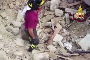 Пожарные нашли под развалинами дома выжившего после землетрясения кота