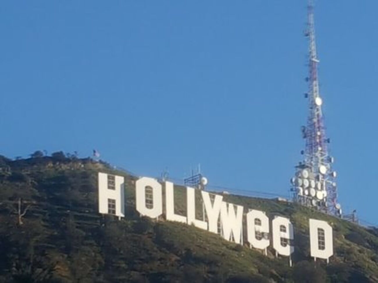 Надпись Hollywood на калифорнийских холмах изменили на Hollyweed 1 января
