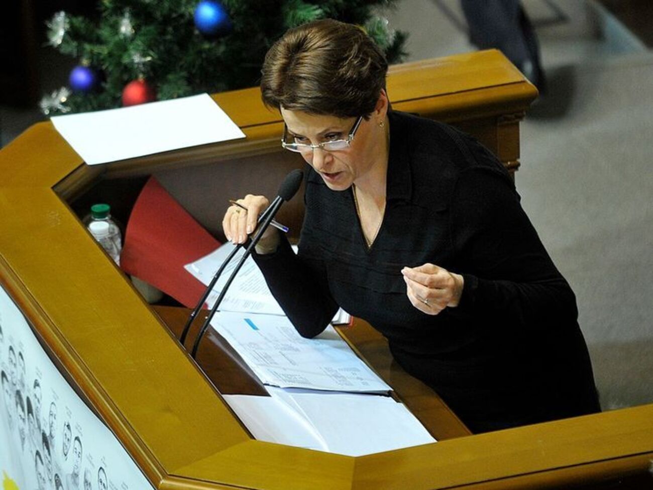 Южанина: Зачем говорить, что в ситуации с налоговой милицией виноват секретариат комитета или нардепы?