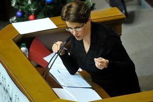 Южанина: Зачем говорить, что в ситуации с налоговой милицией виноват секретариат комитета или нардепы?