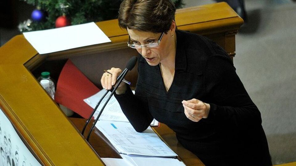 Южанина: Зачем говорить, что в ситуации с налоговой милицией виноват секретариат комитета или нардепы?