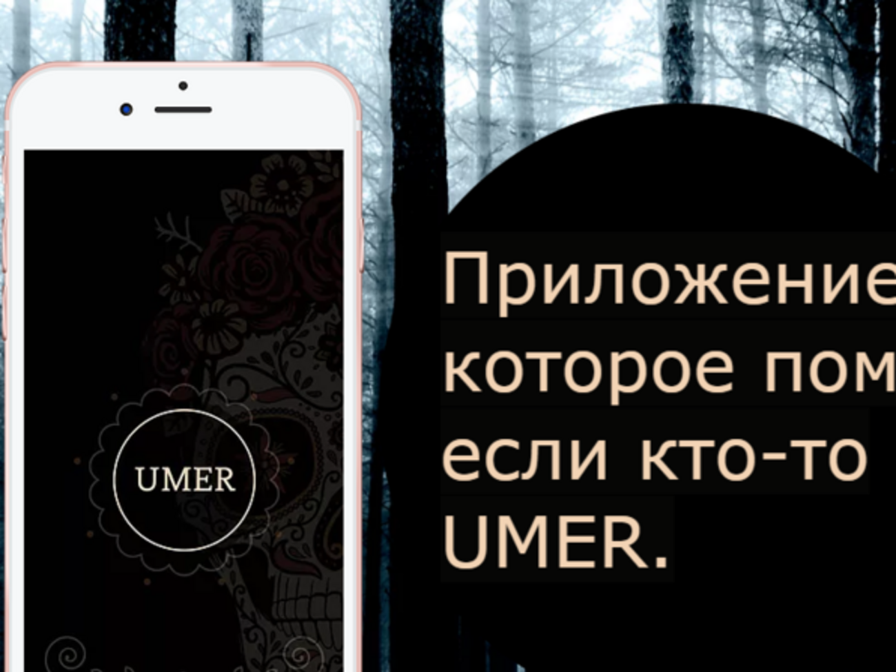 Создатель приложения объяснил, что оно будет работать по принципу агрегатора