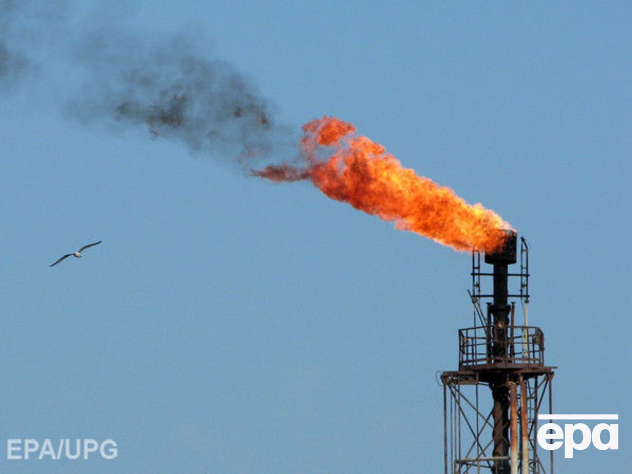 В течение дня нефть подорожала на $1