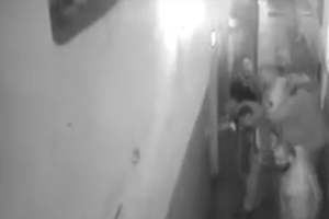 Видео камер наблюдения обнародовала журналистка