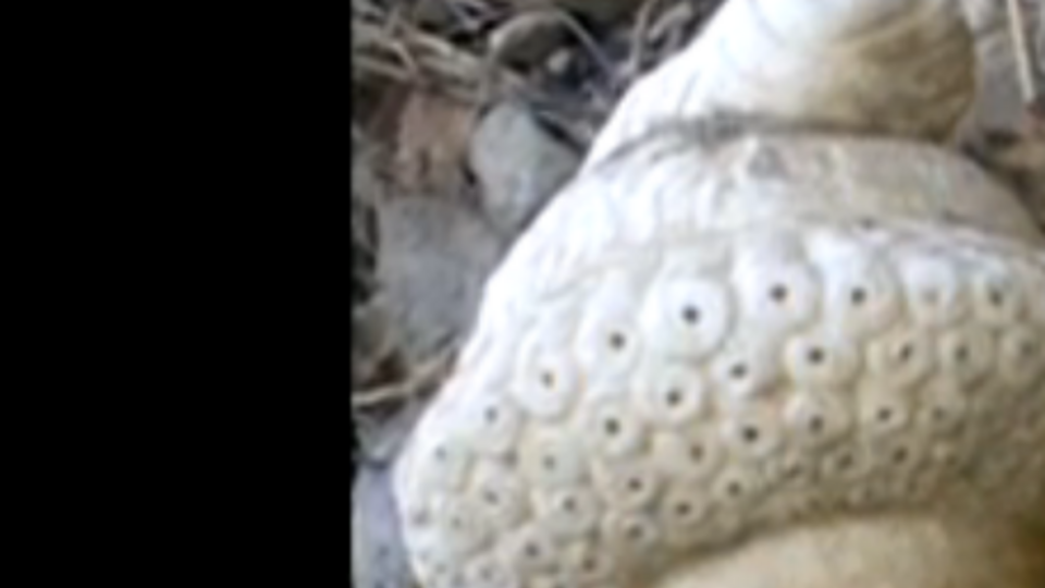 Ученые решили, что скульптура изображает римскую аристократку