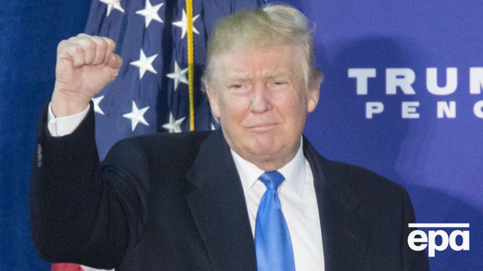 Ученые отметили схожесть чашуек на голове моли с прической Трампа