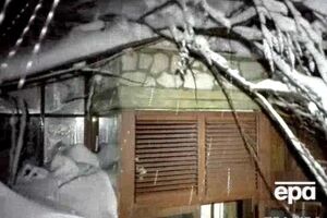 Под завалами оказались около 30 человек