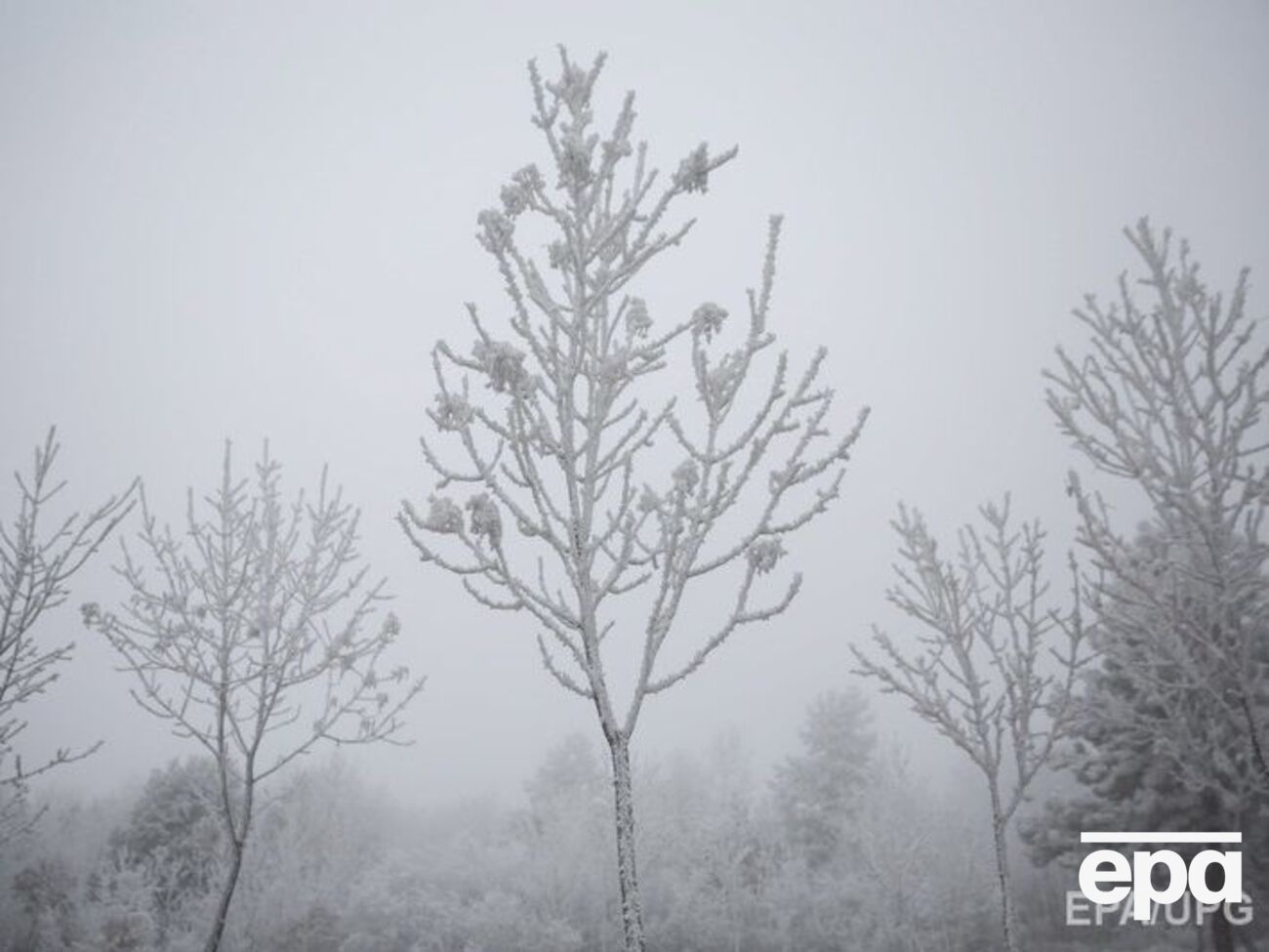 Синоптики прогнозируют резкое похолодание в Украине в конце недели