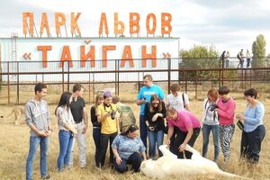 В парке "Тайган" отрицают, что их рабочего покусали львы