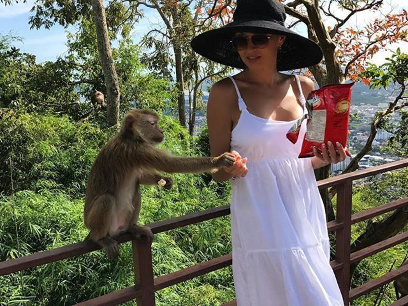 Бледанс: Группа "Молодо-зелено"