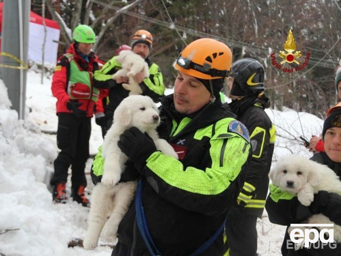 Спасатели вытащили из снежной ловушки трех щенков