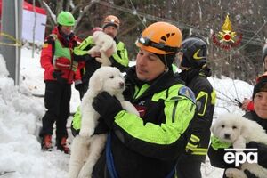 Спасатели вытащили из снежной ловушки трех щенков