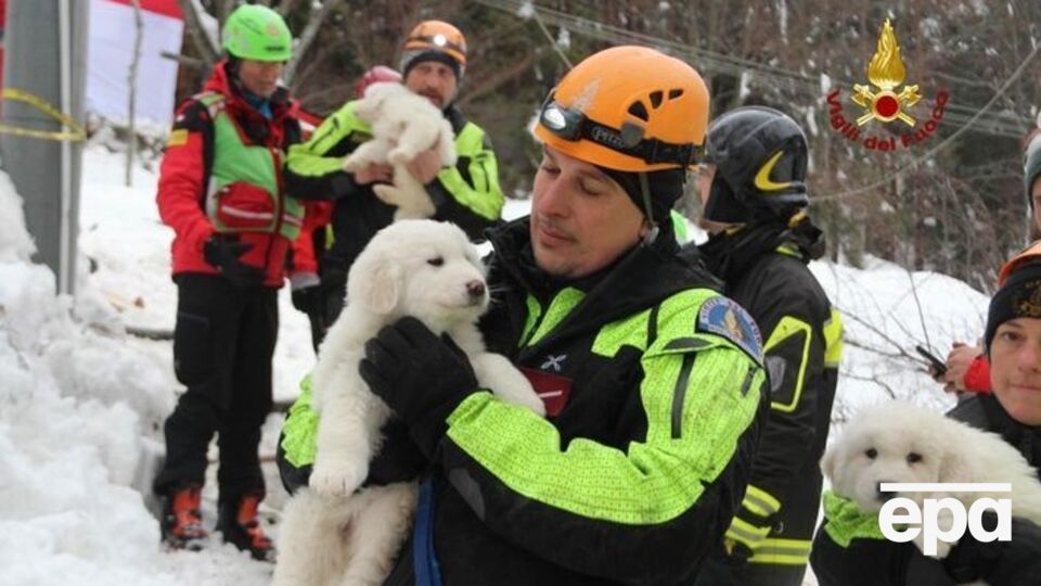 Спасатели вытащили из снежной ловушки трех щенков